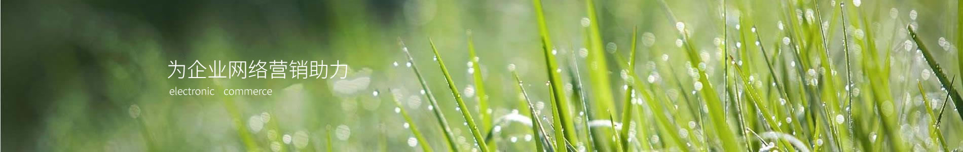 ܽƼ޹˾